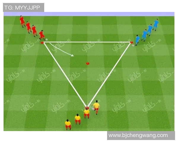 深入解析足球球员位置的战术角色与技术要求，助你了解场上每个位置的独特魅力